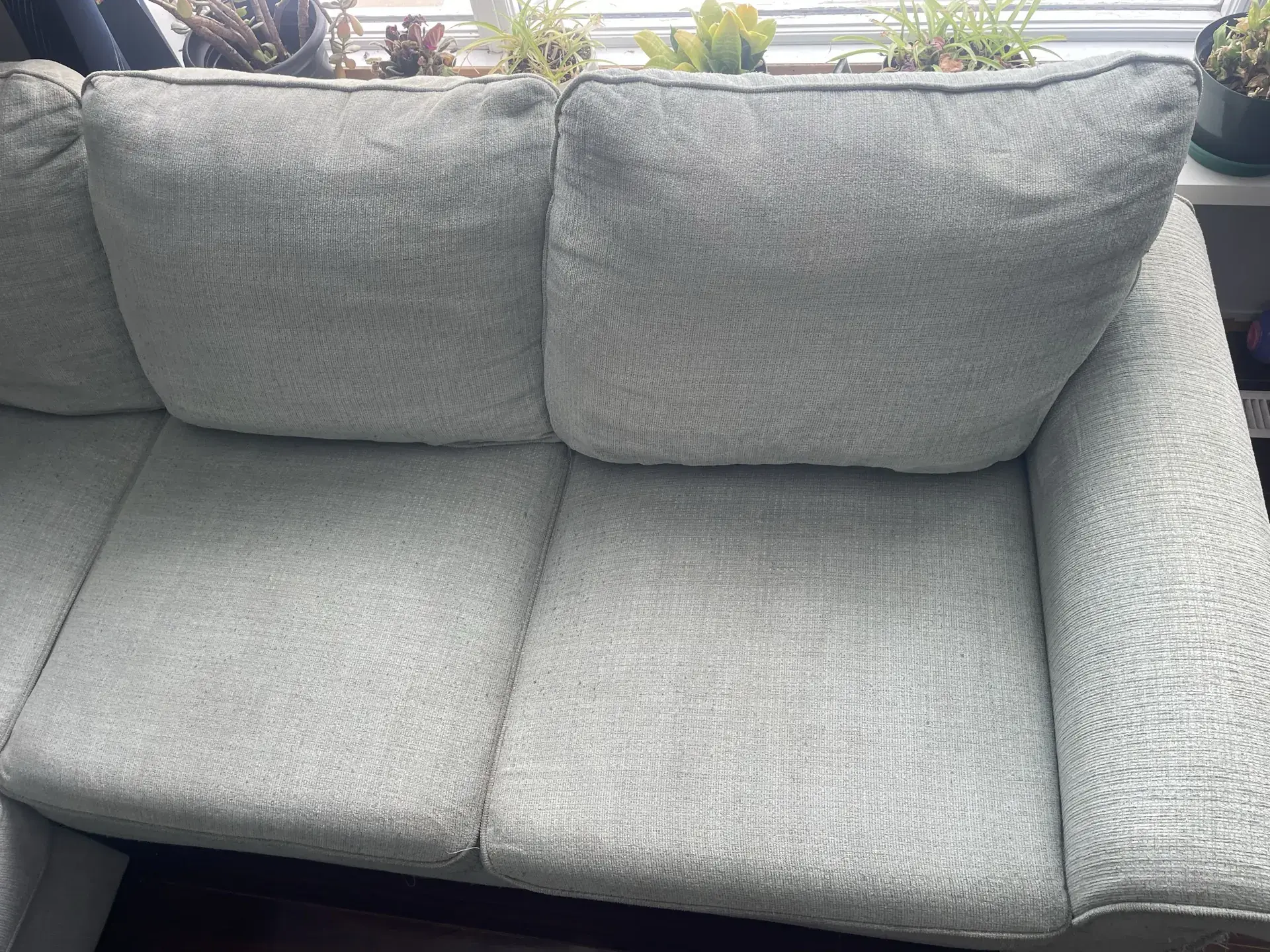 Three-Seat Sofa Cleaning - After