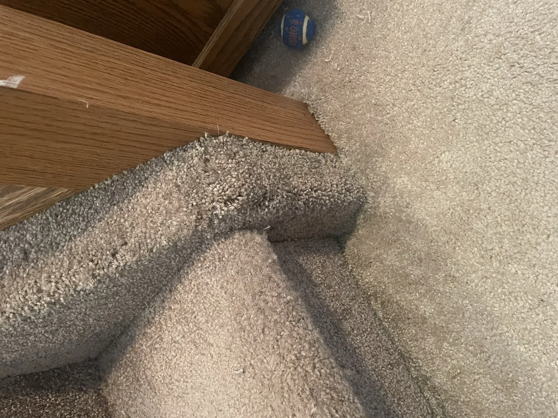 Doorway Pet Damage Repair - After