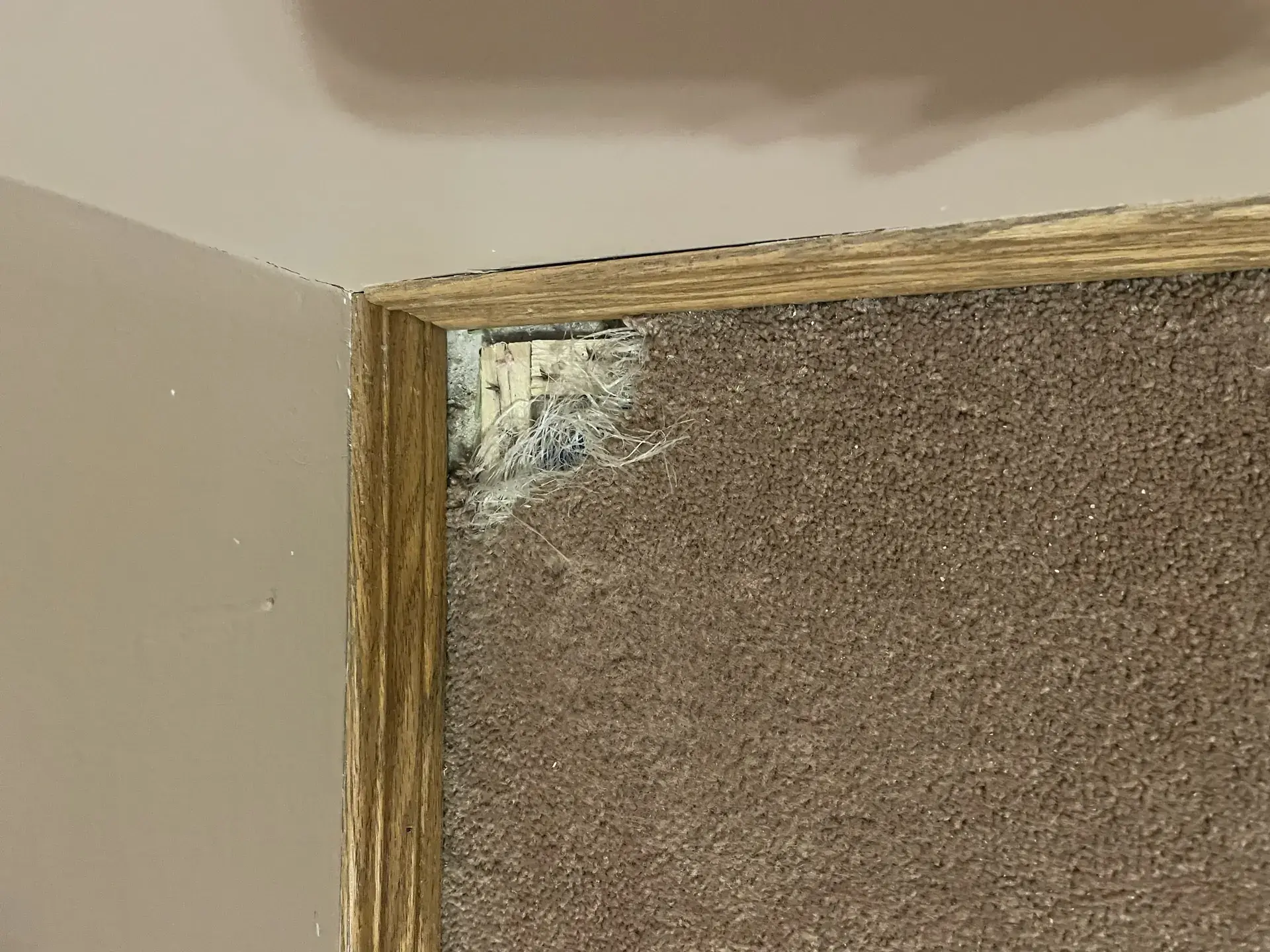 Corner Edge Repair - Before