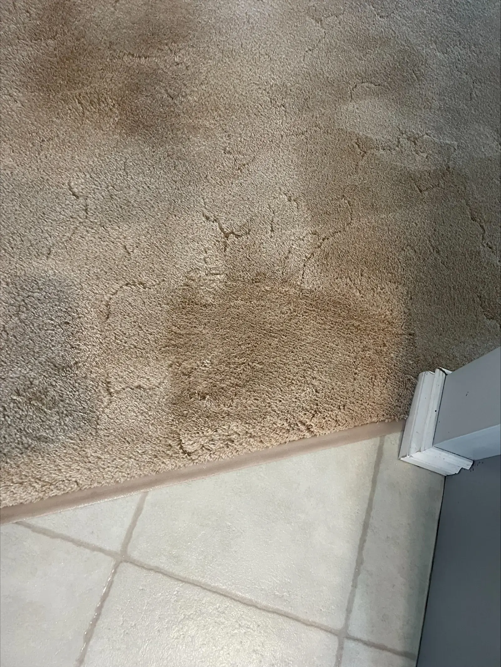 Living Room Carpet Refresh - After