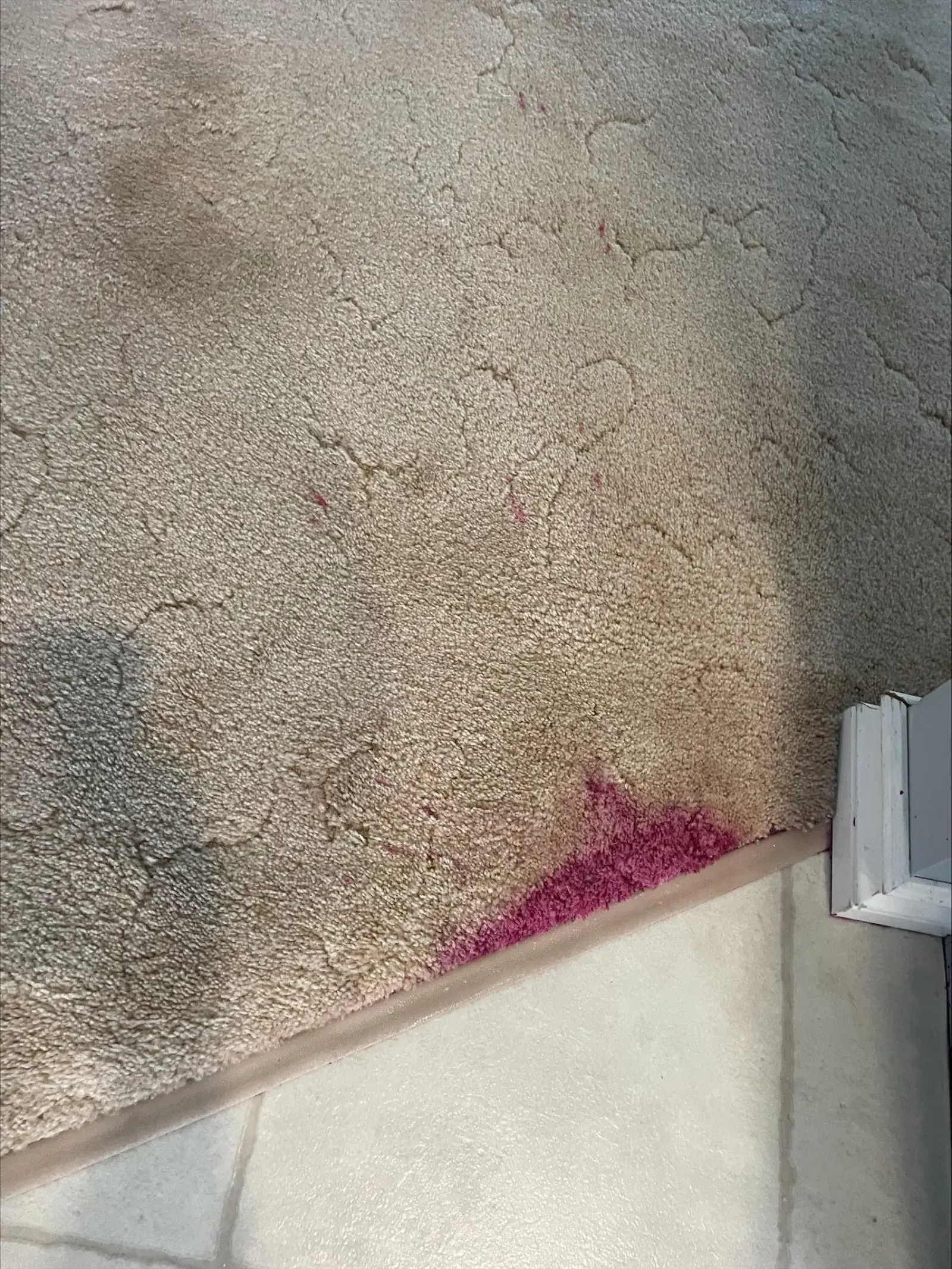 Living Room Carpet Refresh - Before