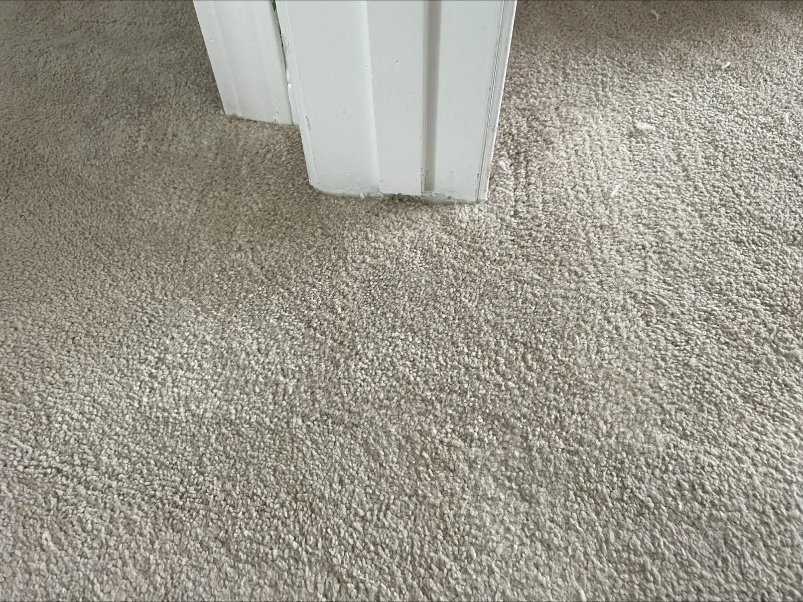 Pet Damage Patch Repair - After