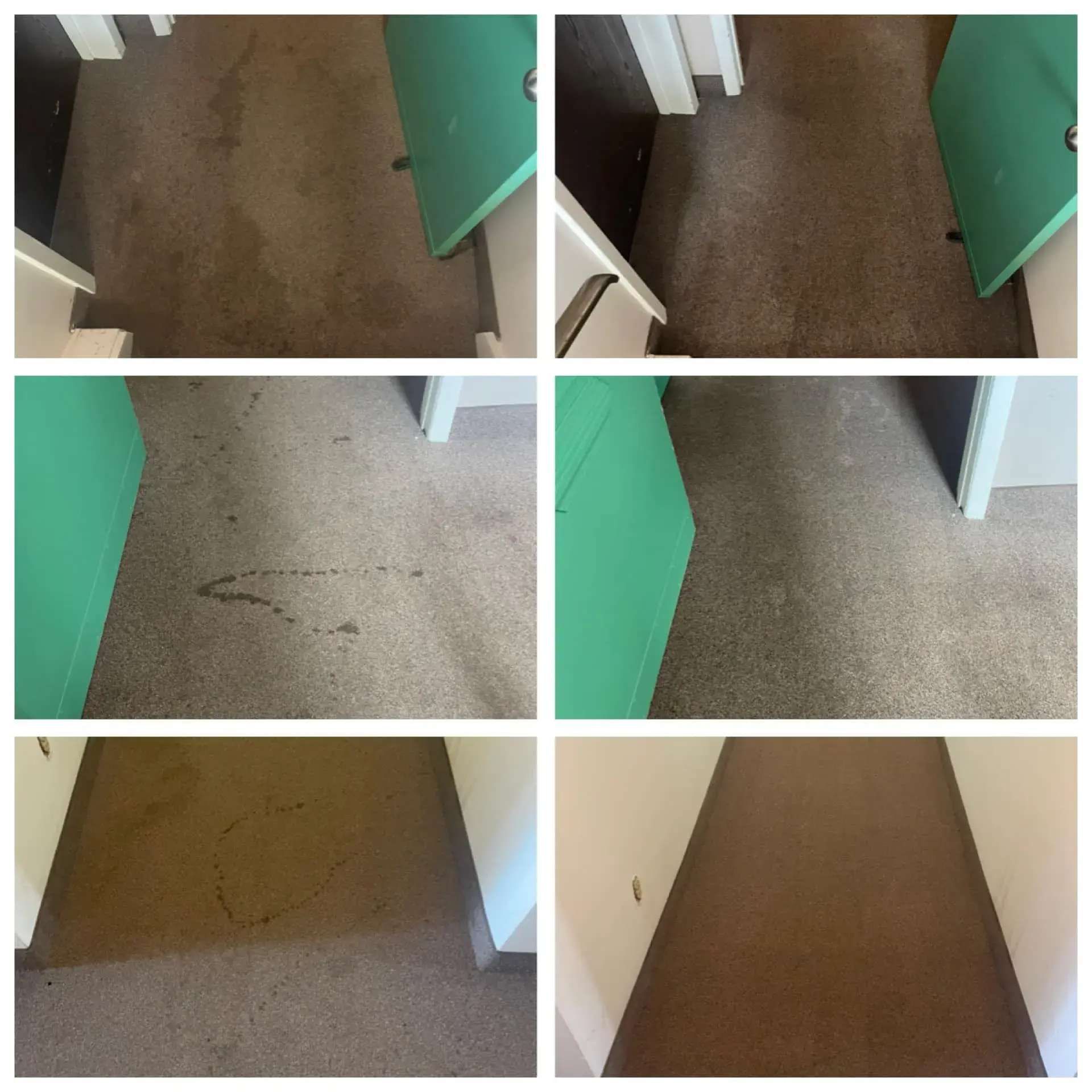 Six-panel comparison of multiple carpet stains removed across hallway and rooms