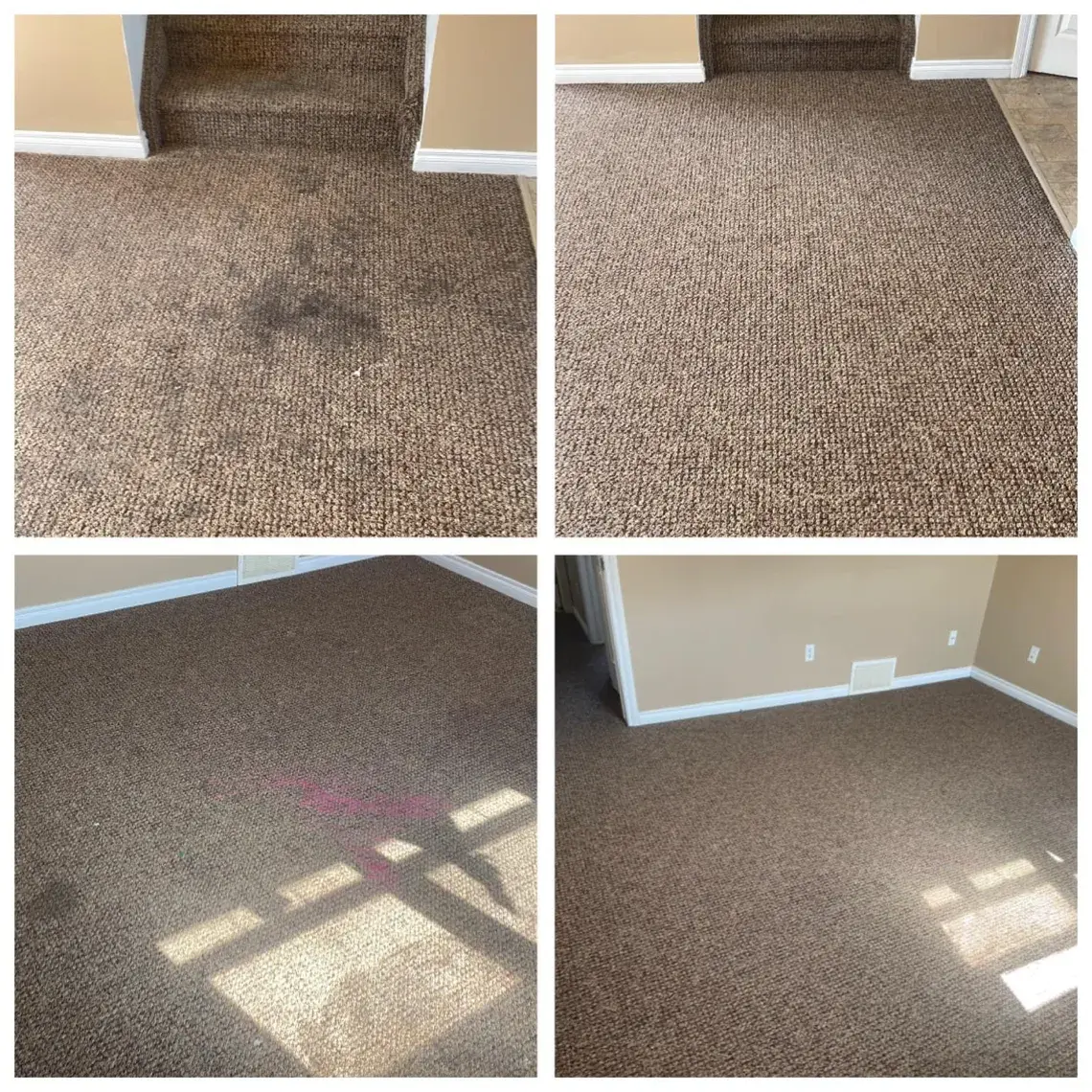 Four-panel comparison showing deep stain removal from bedroom carpets