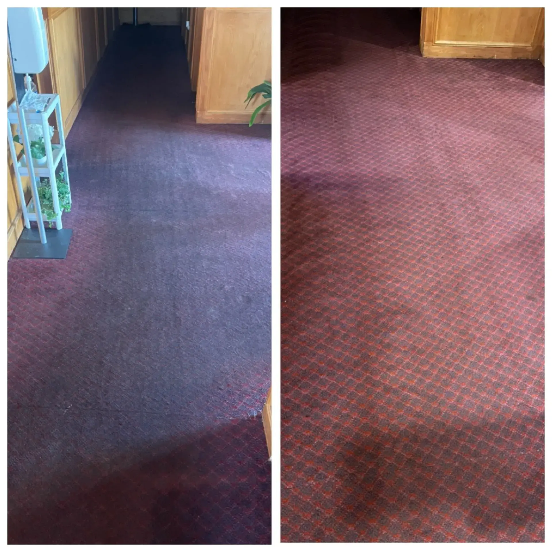 Before and after of red patterned hallway carpet showing dramatic colour restoration