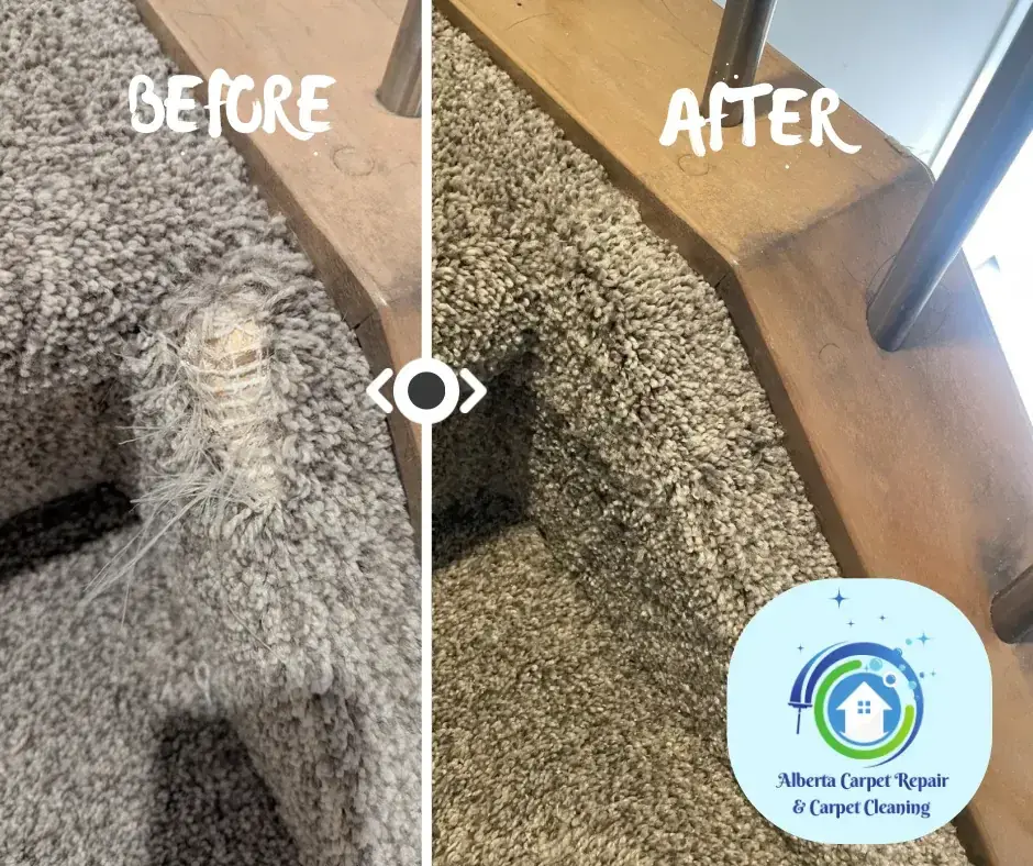 Before and after of pet damage repaired with invisible carpet patch