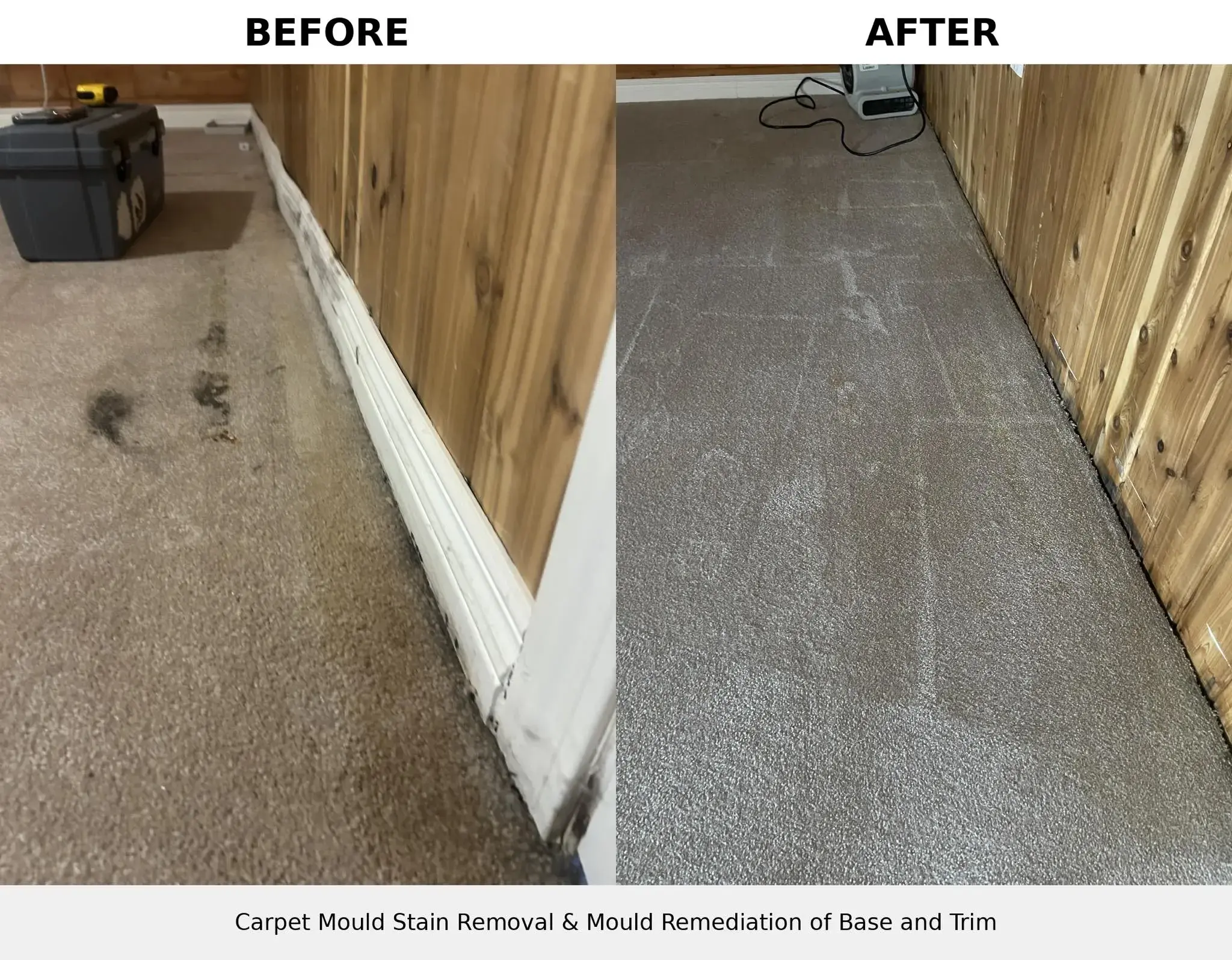 Before and after of mould stain removed from carpet and cedar baseboards