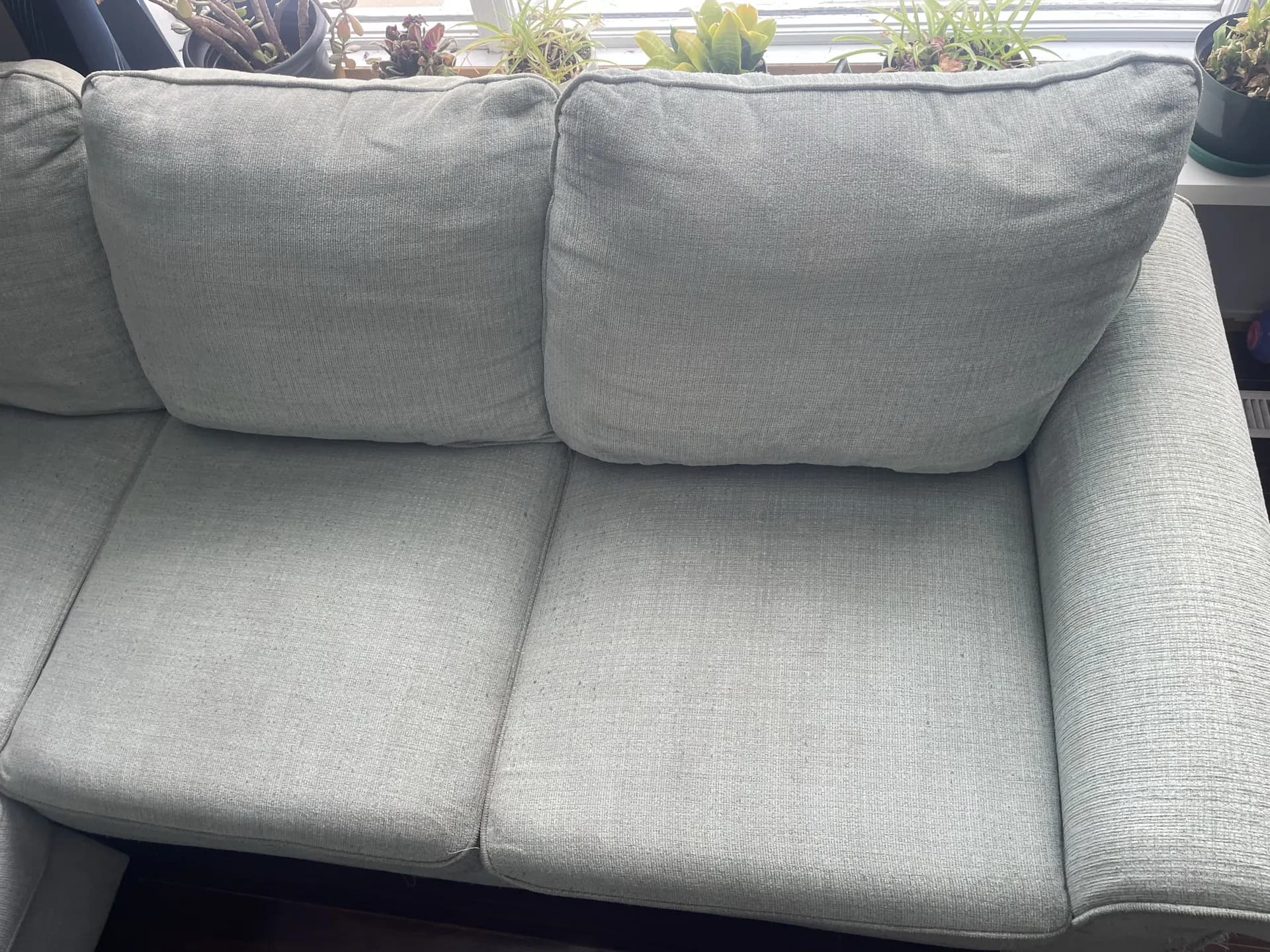 Three-Seat Sofa Cleaning - After