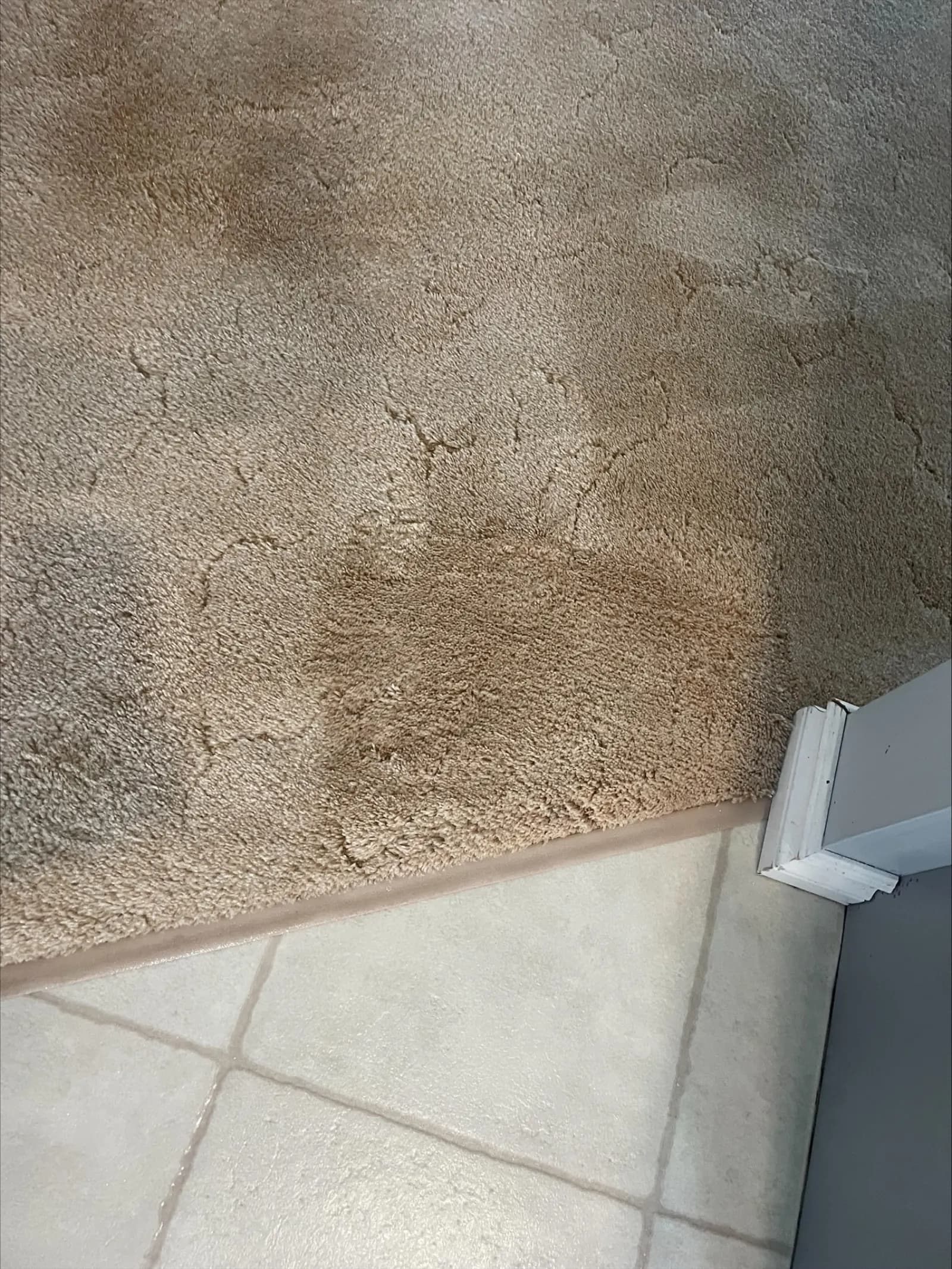 Living Room Carpet Refresh - After