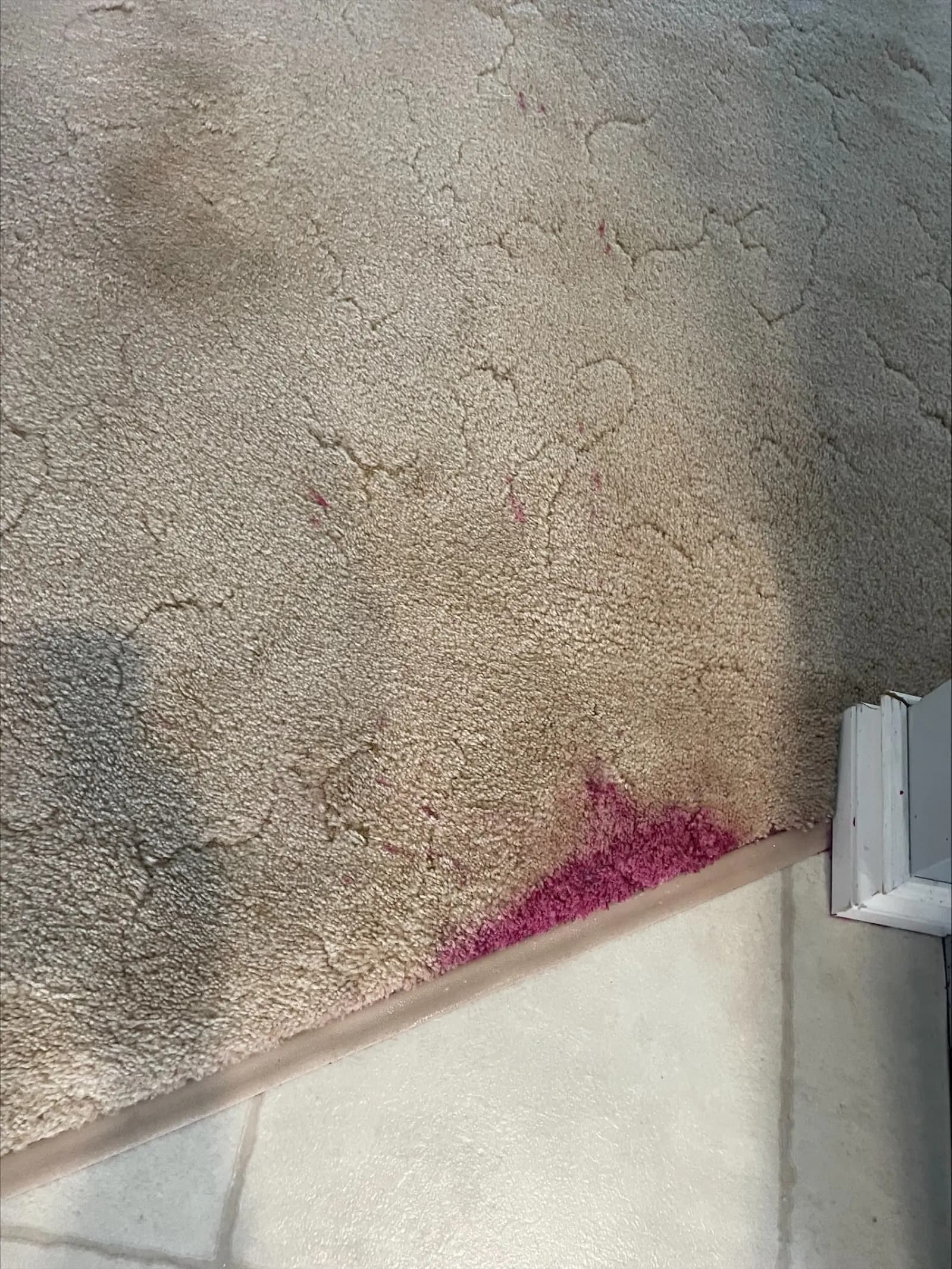 Living Room Carpet Refresh - Before