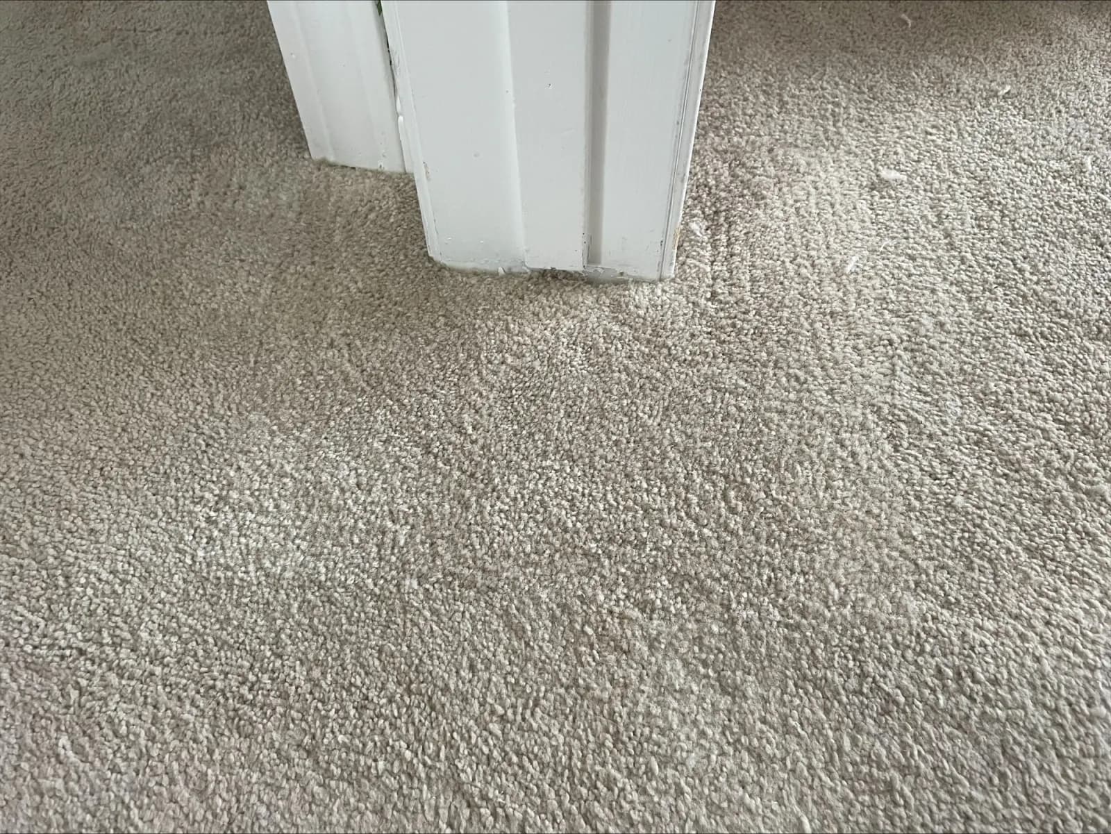Pet Damage Patch Repair - After