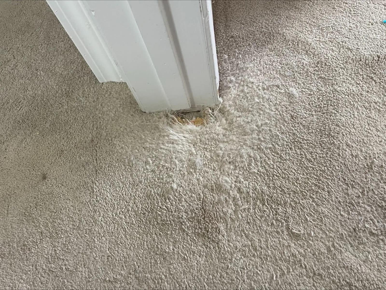 Pet Damage Patch Repair - Before
