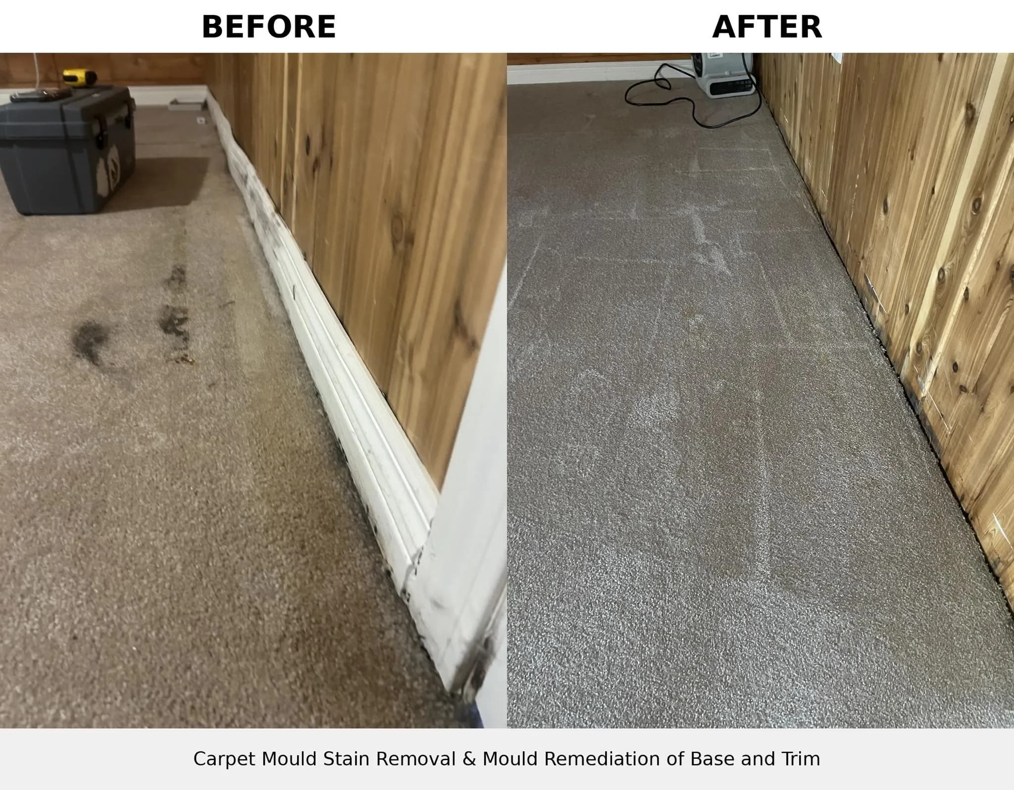 Before and after of mould stain removed from carpet and cedar baseboards